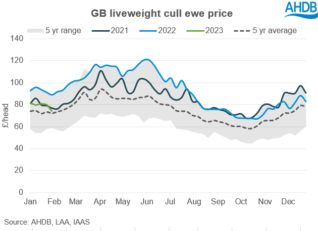 Liveweight cull ewe prices
